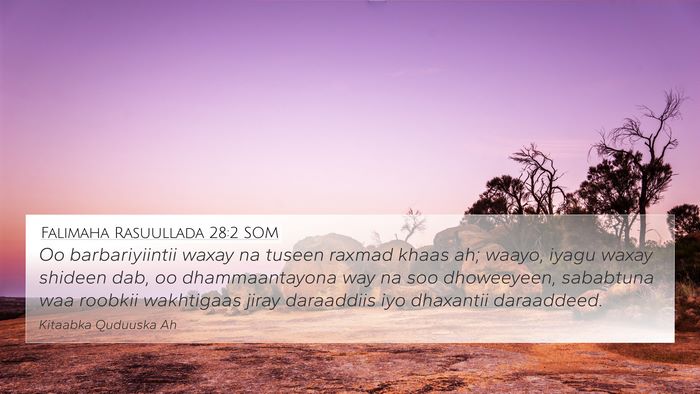 Falimaha Rasuullada 28:2 SOM Bible Verse Image