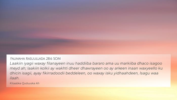 Falimaha Rasuullada 28:6 SOM Bible Verse Image