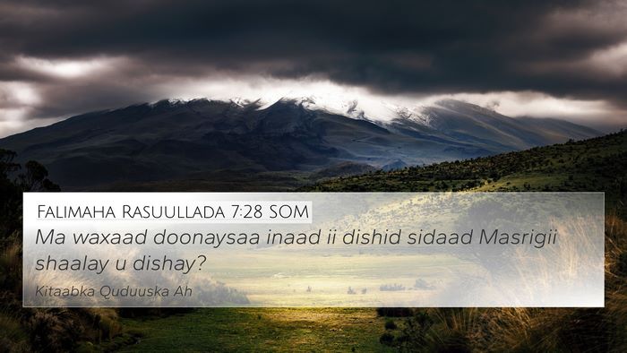 Falimaha Rasuullada 7:28 SOM Bible Verse Image