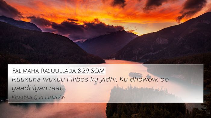 Falimaha Rasuullada 8:29 SOM Bible Verse Image