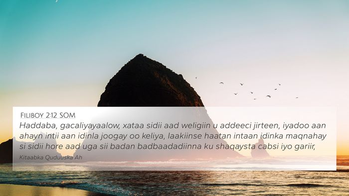 Filiboy 2:12 SOM Bible Verse Image