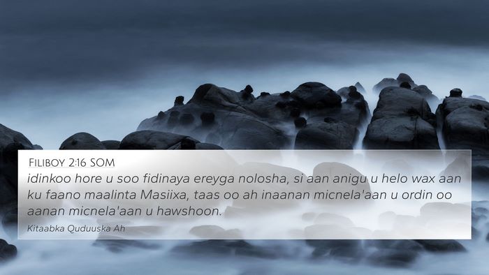 Filiboy 2:16 SOM Bible Verse Image