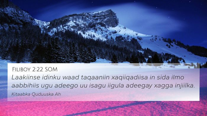 Filiboy 2:22 SOM Bible Verse Image