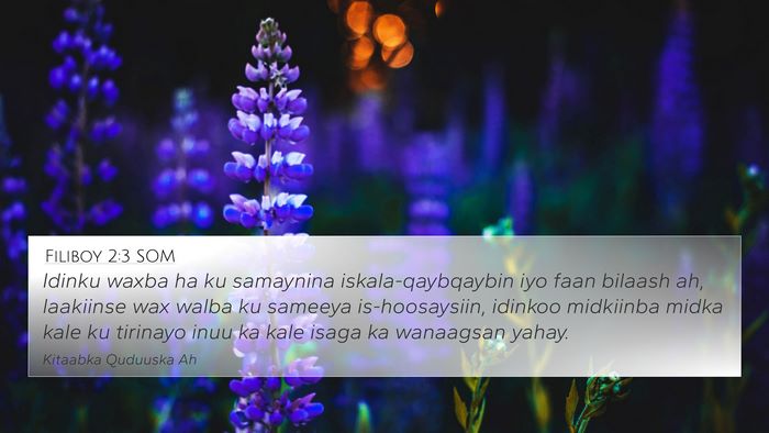 Filiboy 2:3 SOM Bible Verse Image