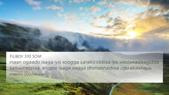 Filiboy 3:10 SOM Bible Verse Image