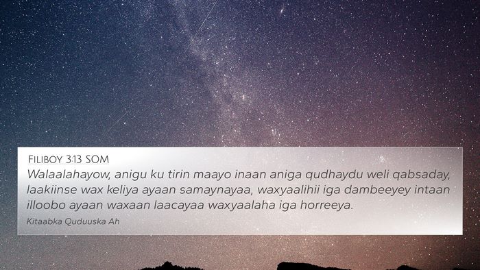 Filiboy 3:13 SOM Bible Verse Image