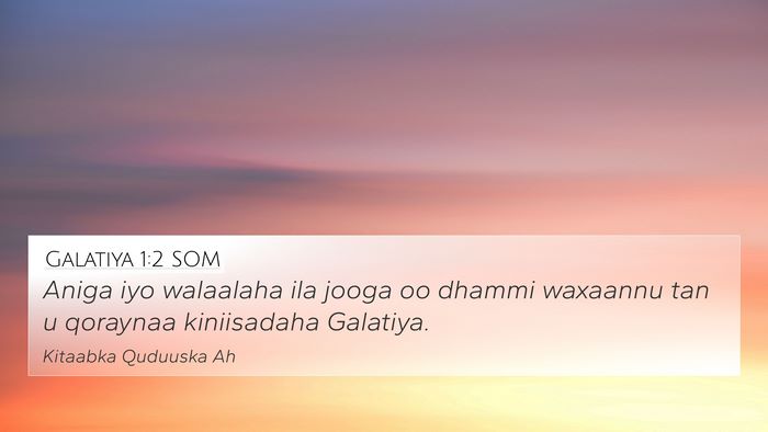 Galatiya 1:2 SOM Bible Verse Image
