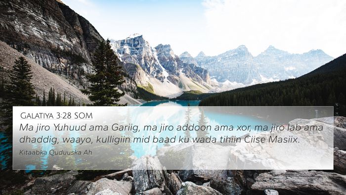 Galatiya 3:28 SOM Bible Verse Image