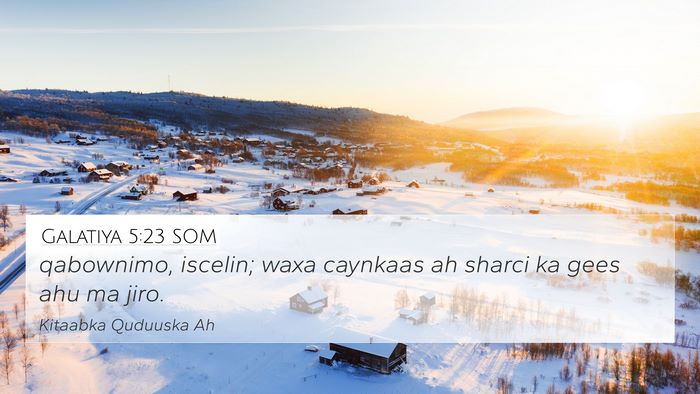 Galatiya 5:23 SOM Bible Verse Image