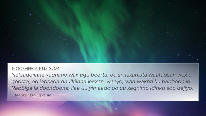 Hoosheeca 10:12 SOM Bible Verse Image