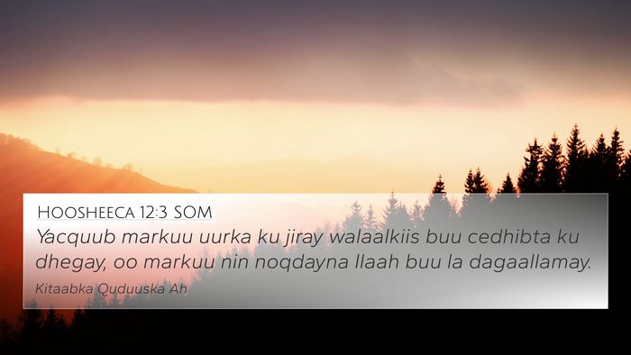 Hoosheeca 12:3 SOM Bible Verse Image