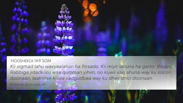 Hoosheeca 14:9 SOM Bible Verse Image