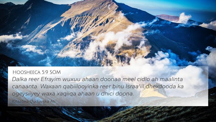 Hoosheeca 5:9 SOM 4K Wallpaper - Dalka reer Efrayim wuxuu ahaan doonaa meel cidlo - 4K Wallpaper Bible Verse