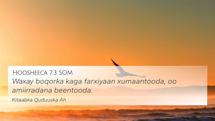 Hoosheeca 7:3 SOM Bible Verse Image