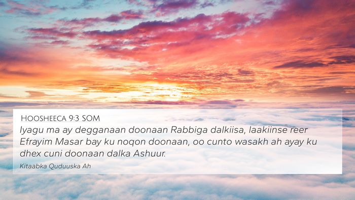 Hoosheeca 9:3 SOM Bible Verse Image