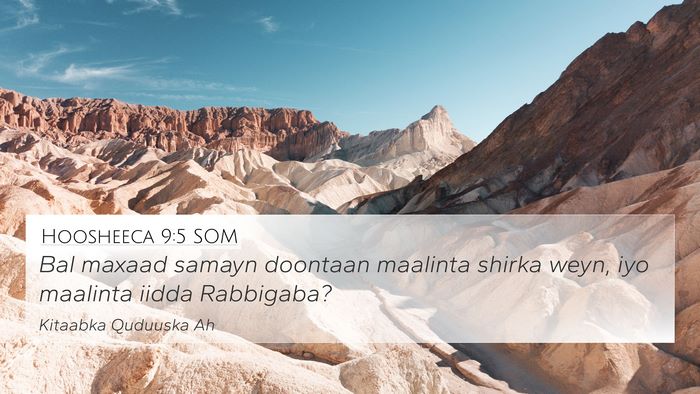 Hoosheeca 9:5 SOM Bible Verse Image