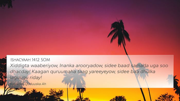 Ishacyaah 14:12 SOM Bible Verse Image