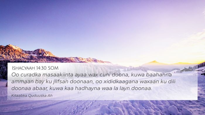 Ishacyaah 14:30 SOM Bible Verse Image