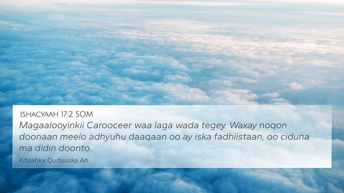 Ishacyaah 17:2 SOM Bible Verse Image