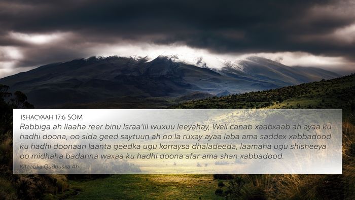 Ishacyaah 17:6 SOM Bible Verse Image