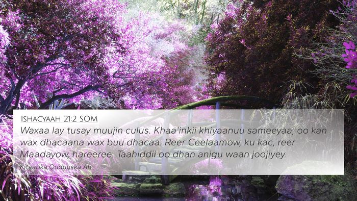 Ishacyaah 21:2 SOM Bible Verse Image