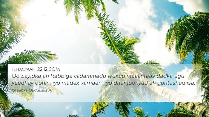 Ishacyaah 22:12 SOM Bible Verse Image
