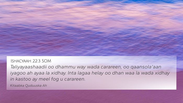 Ishacyaah 22:3 SOM Bible Verse Image