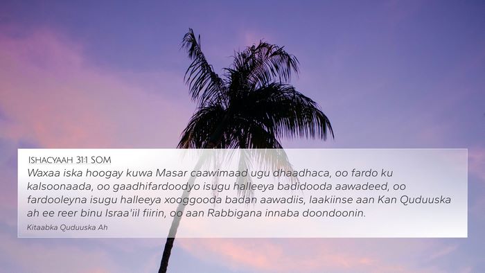 Ishacyaah 31:1 SOM Bible Verse Image