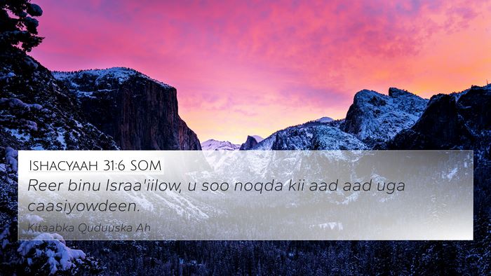 Ishacyaah 31:6 SOM Bible Verse Image