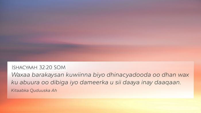 Ishacyaah 32:20 SOM Bible Verse Image