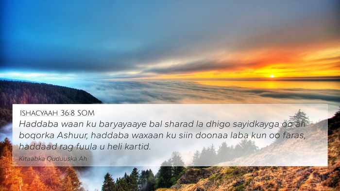 Ishacyaah 36:8 SOM Bible Verse Image