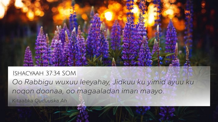 Ishacyaah 37:34 SOM Bible Verse Image