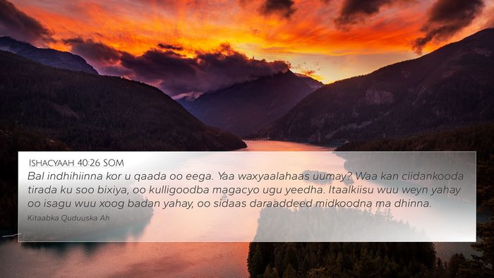 Ishacyaah 40:26 SOM Bible Verse Image