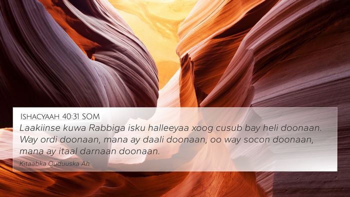 Ishacyaah 40:31 SOM Bible Verse Image