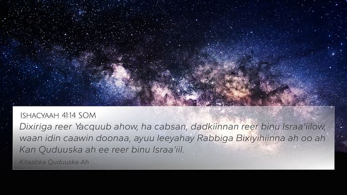 Ishacyaah 41:14 SOM Bible Verse Image