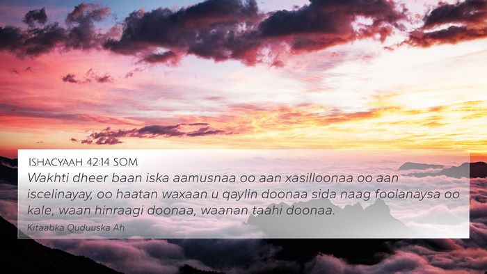 Ishacyaah 42:14 SOM Bible Verse Image