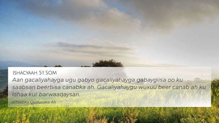 Ishacyaah 5:1 SOM Bible Verse Image