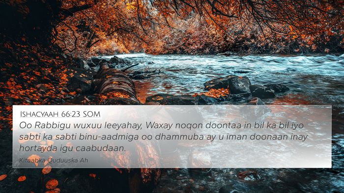 Ishacyaah 66:23 SOM Bible Verse Image