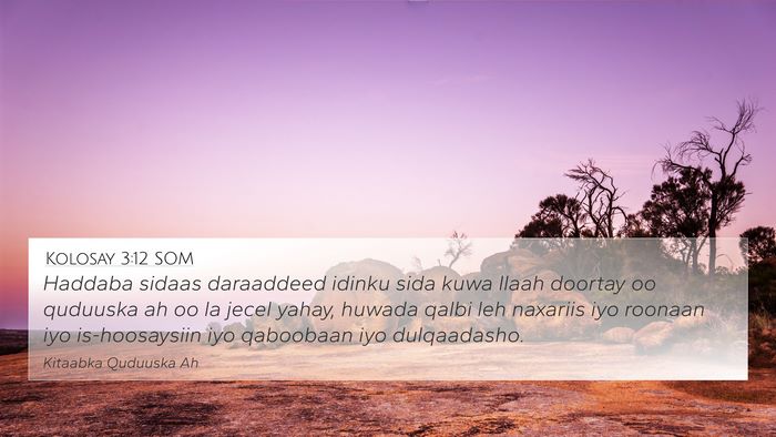 Kolosay 3:12 SOM Bible Verse Image