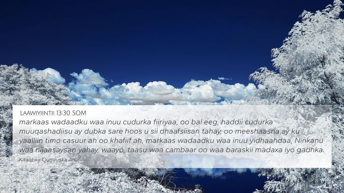 Laawiyiintii 13:30 SOM Bible Verse Image