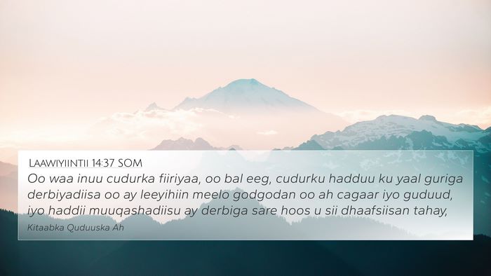 Laawiyiintii 14:37 SOM 4K Wallpaper - Oo waa inuu cudurka fiiriyaa, oo bal eeg, cudurku - 4K Wallpaper Bible Verse