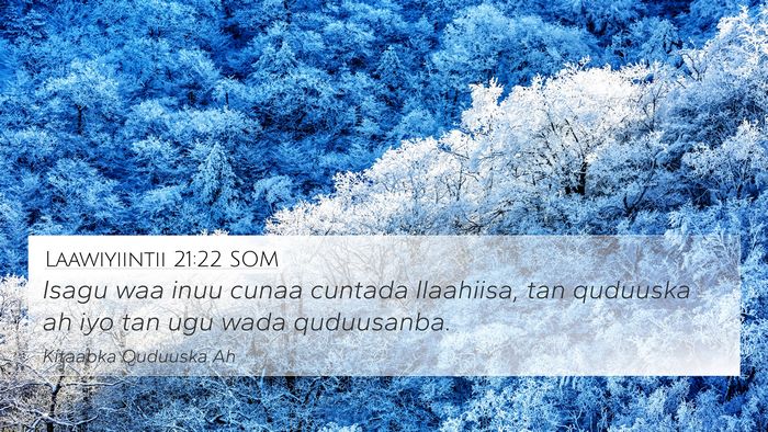 Laawiyiintii 21:22 SOM Bible Verse Image