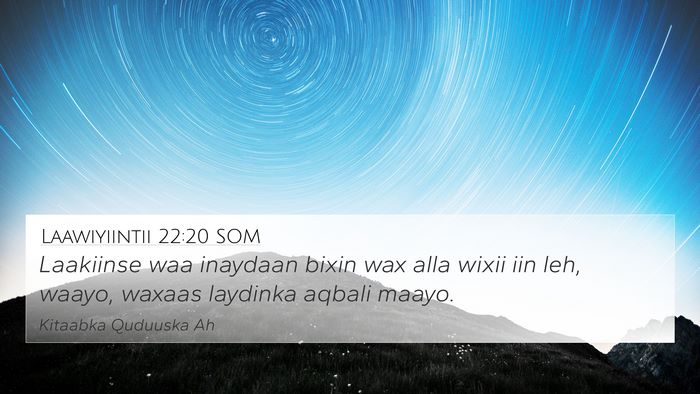 Laawiyiintii 22:20 SOM Bible Verse Image