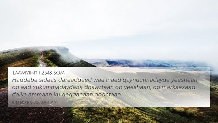 Laawiyiintii 25:18 SOM Bible Verse Image
