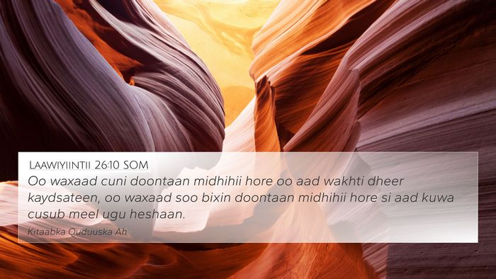 Laawiyiintii 26:10 SOM Bible Verse Image