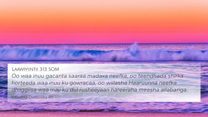 Laawiyiintii 3:13 SOM Bible Verse Image