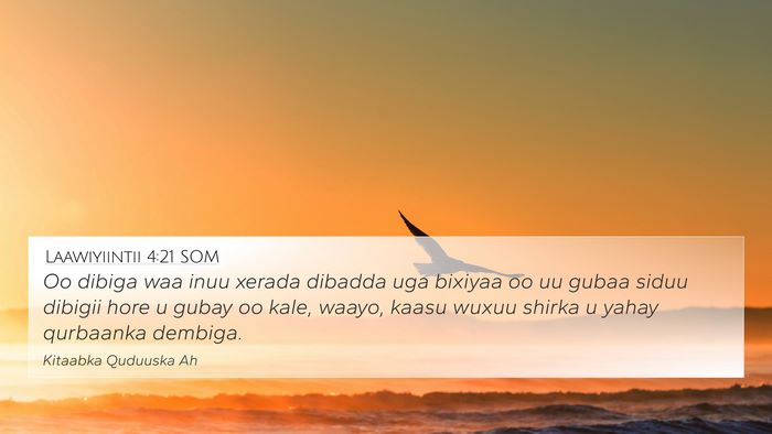 Laawiyiintii 4:21 SOM Bible Verse Image