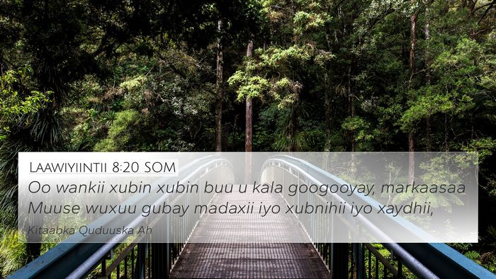 Laawiyiintii 8:20 SOM 4K Wallpaper - Oo wankii xubin xubin buu u kala googooyay, - 4K Wallpaper Bible Verse