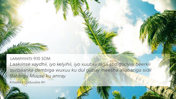 Laawiyiintii 9:10 SOM Bible Verse Image