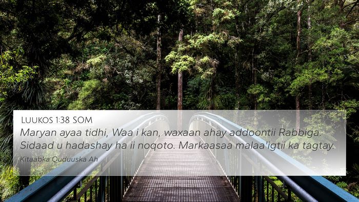 Luukos 1:38 SOM Bible Verse Image